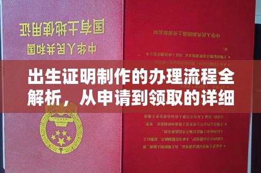 阿拉善左旗出生证明制作的办理流程全解析，从申请到领取的详细指南